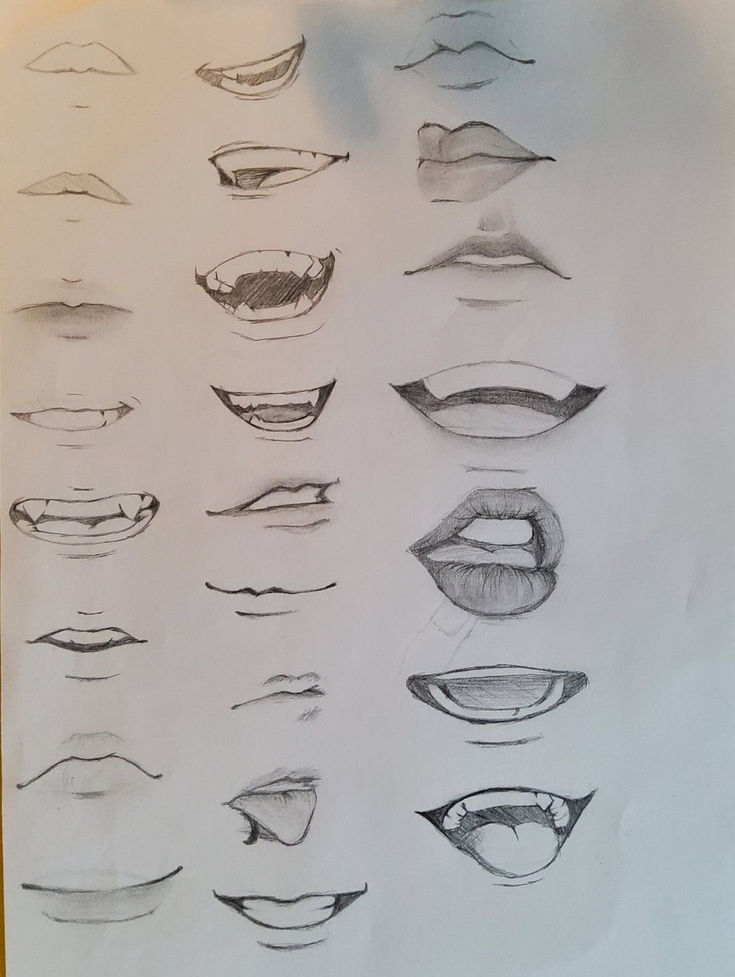 a drawing of different types of mouth shapes and their corresponding parts are drawn on paper