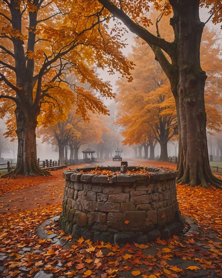 a stone fire pit surrounded by autumn leaves