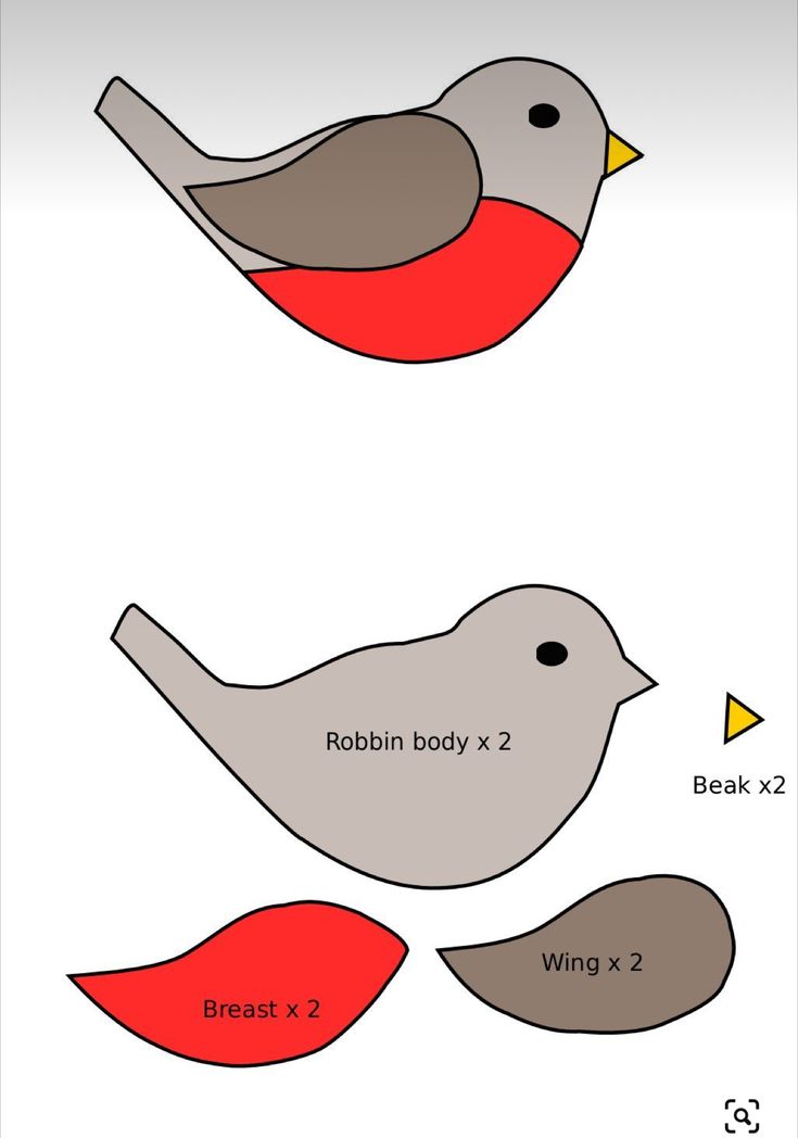 two birds with different colors on them and one is red, the other has gray