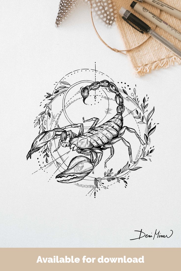 Line drawing of zodiac sign Scorpio signed by the Slovak artist Deni Minar. Available for download and suitable as a tattoo for all astrology lovers. Art Small Tattoo, Tattoo Ideas Astrology, Scorpio Zodiac Tattoos, Scorpio Art, Astrology Tattoo, Horoscope Tattoos, Scorpio Tattoo, Taurus Tattoos, Scorpion Tattoo