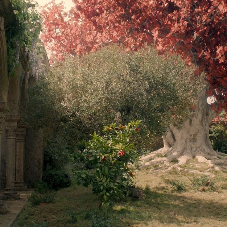 an old tree in the middle of a garden with red and green leaves on it