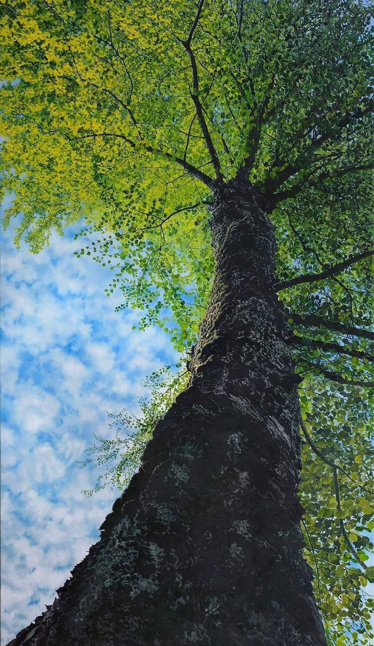 a painting of a tree with green leaves and blue sky in the background, looking up at it's trunk