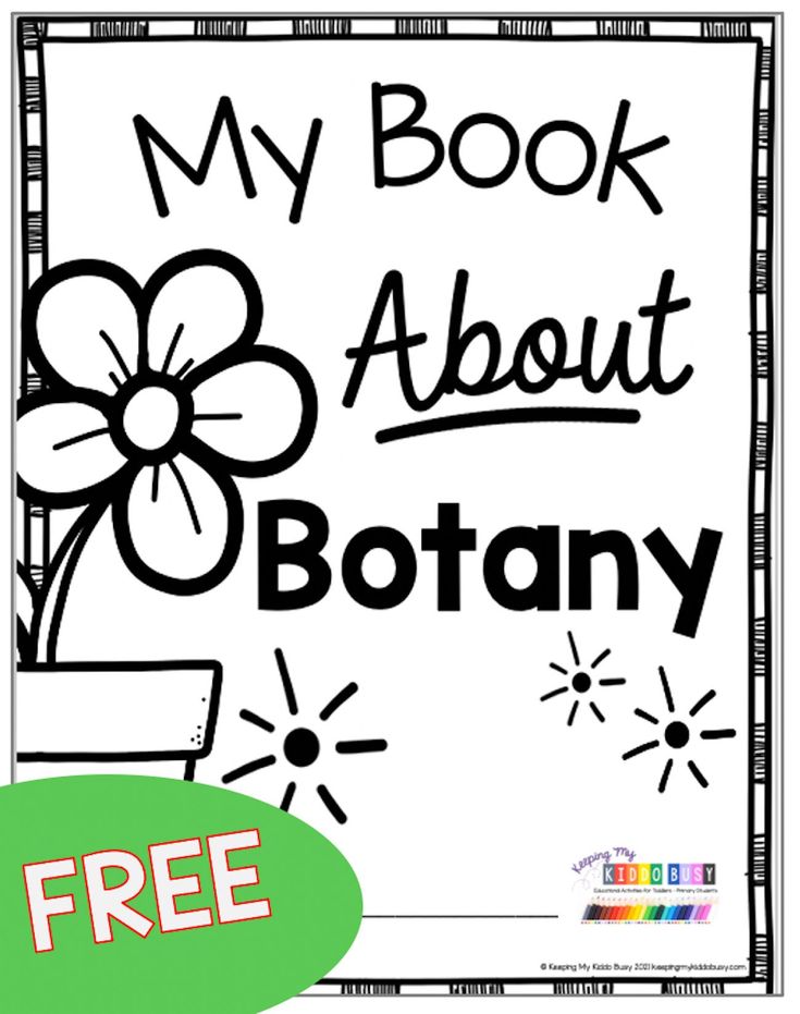 a coloring book with the words, my book about botany and a flower