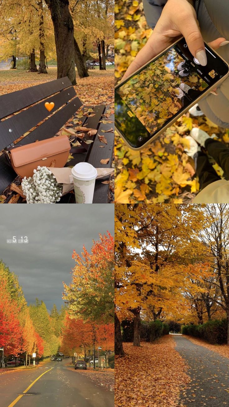 there is a collage of pictures with autumn trees and leaves on the ground in different colors