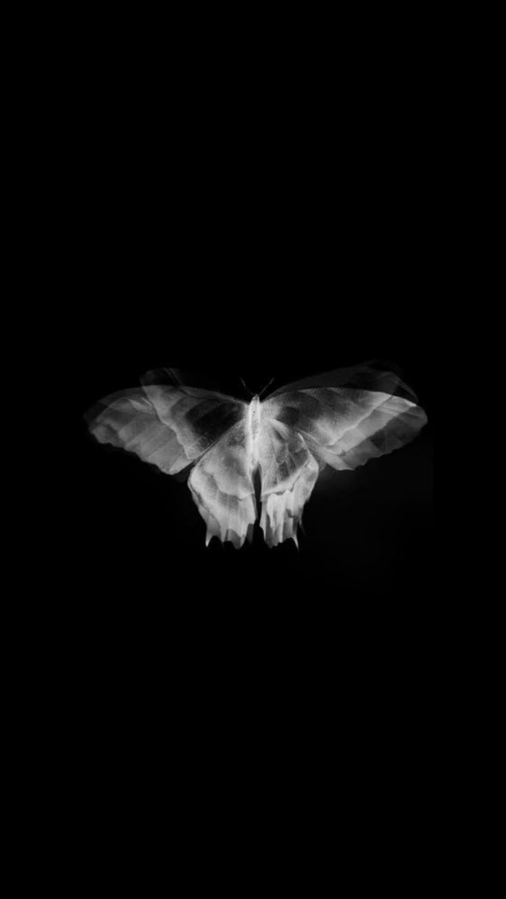 a black and white photo of a moth in the dark