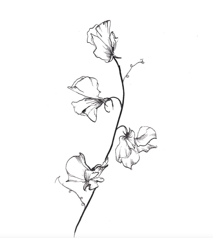 a black and white drawing of three flowers