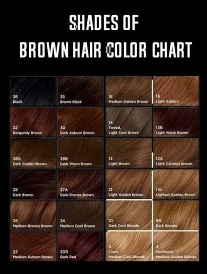 Share image Hair Wishlist, Shades Of Brown Hair, Cabelo Ombre Hair, Brown Hair Color Chart, Hair Chart, Brown Hair Color Shades, Golden Brown Hair Color, Rambut Brunette, Golden Brown Hair