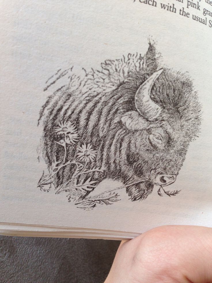 a hand holding an open book with a drawing of a wild animal on it's cover