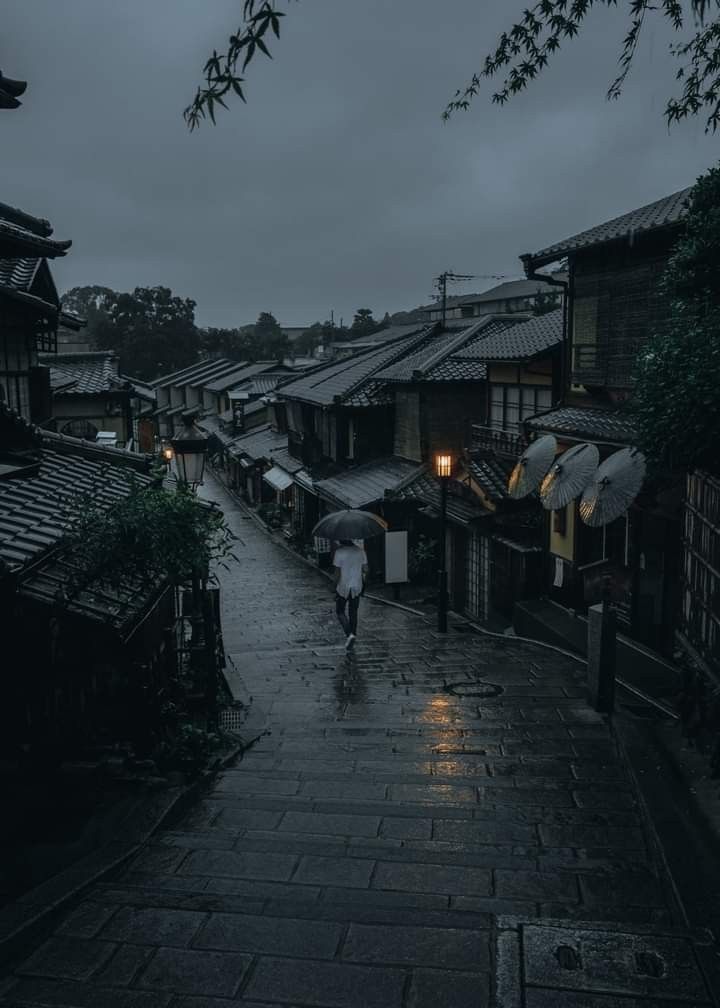 a person with an umbrella walking down a street