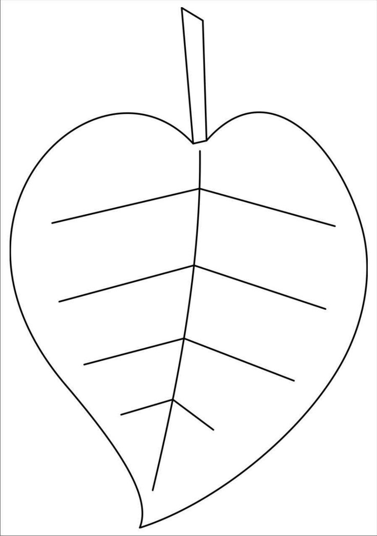 a heart shaped leaf with lines drawn on it