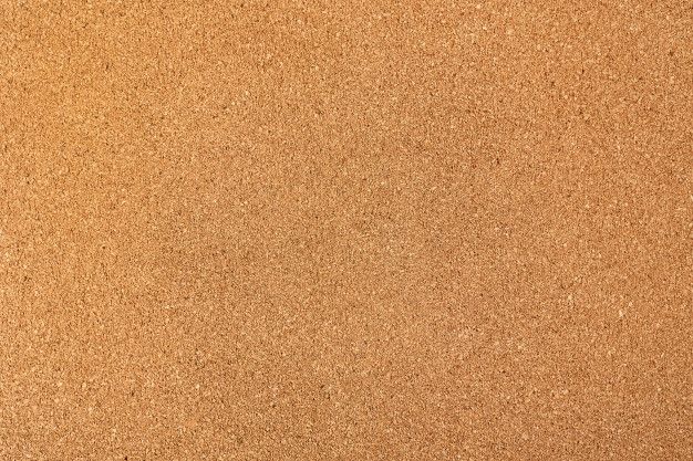 an orange and black bird sitting on top of a brown sand covered beach next to the ocean