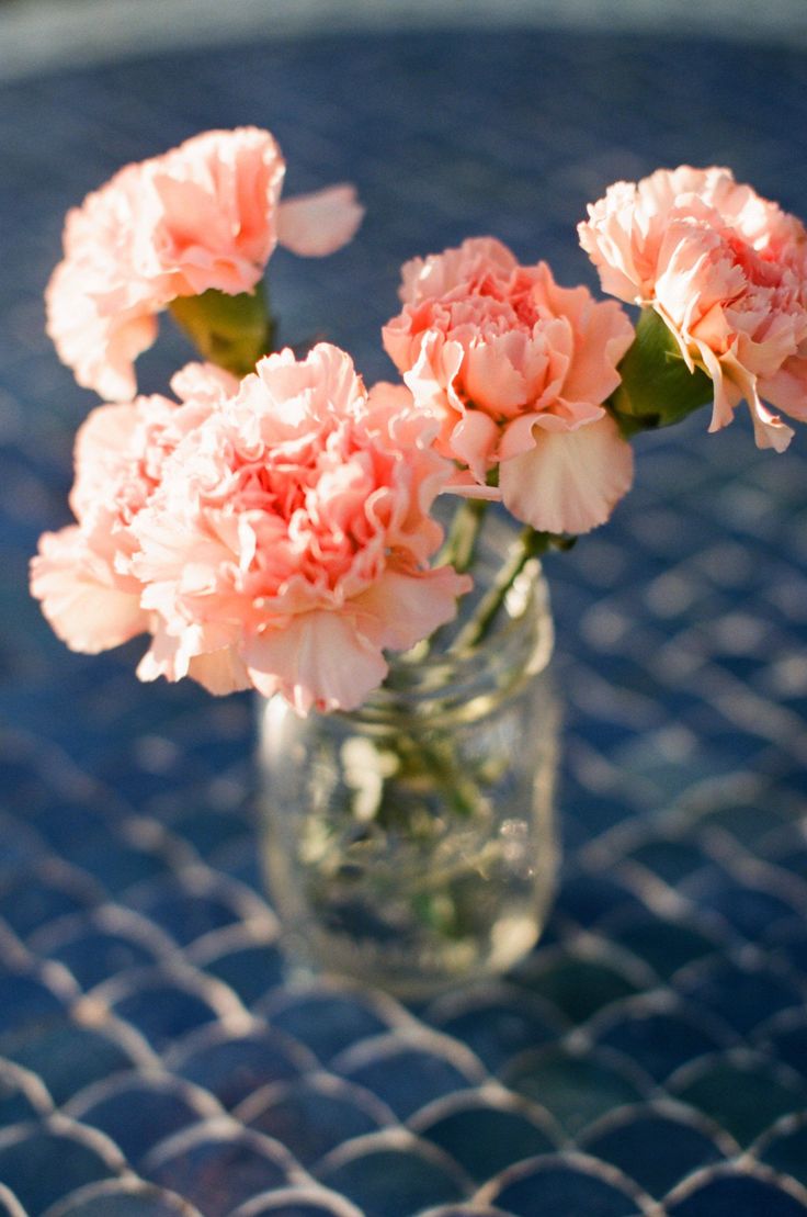 pink carnations are in a glass vase on a blue tableclothed surface