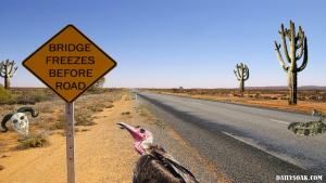 an ostrich is standing next to a road sign that says bridge freezes before road