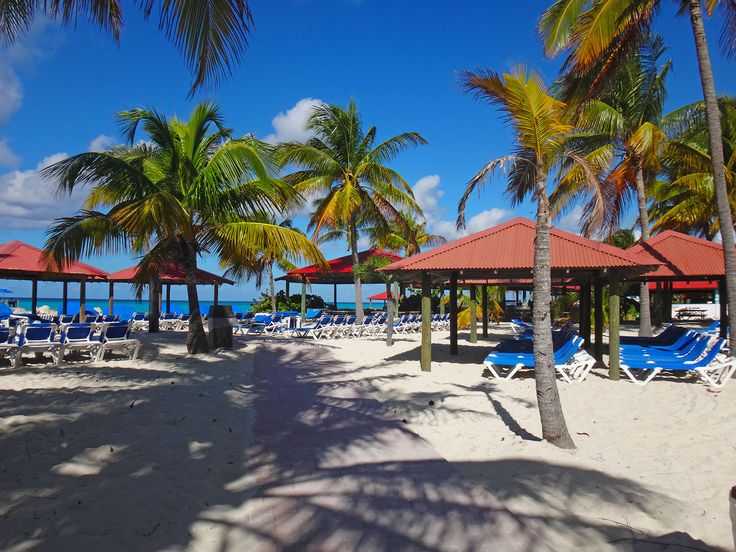 the beach is lined with lounge chairs and palm trees