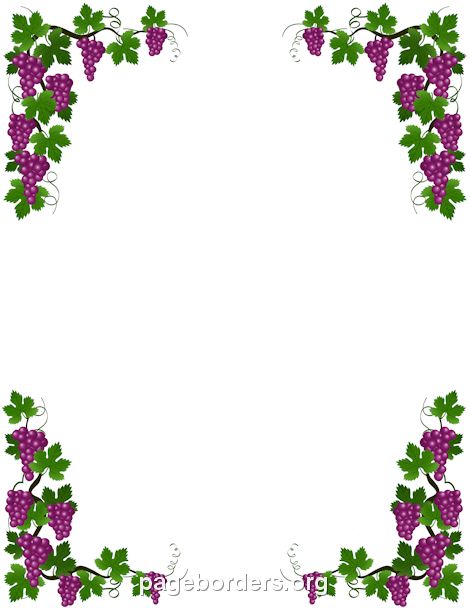 grapes with green leaves and vines on the bottom, in an ornate border design over white background