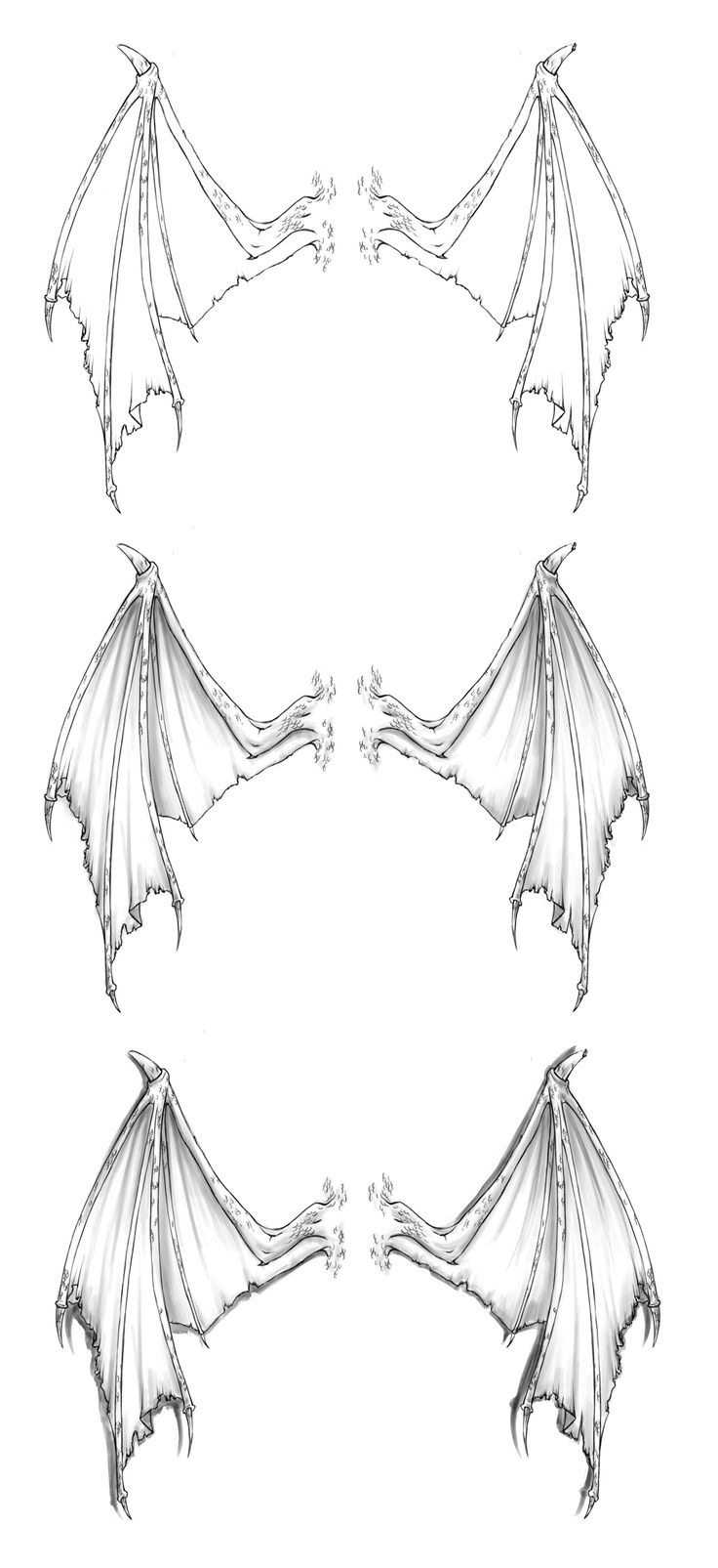 three dragon wings are shown in this drawing