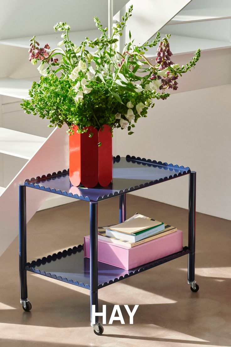 a plant is sitting on top of a shelf