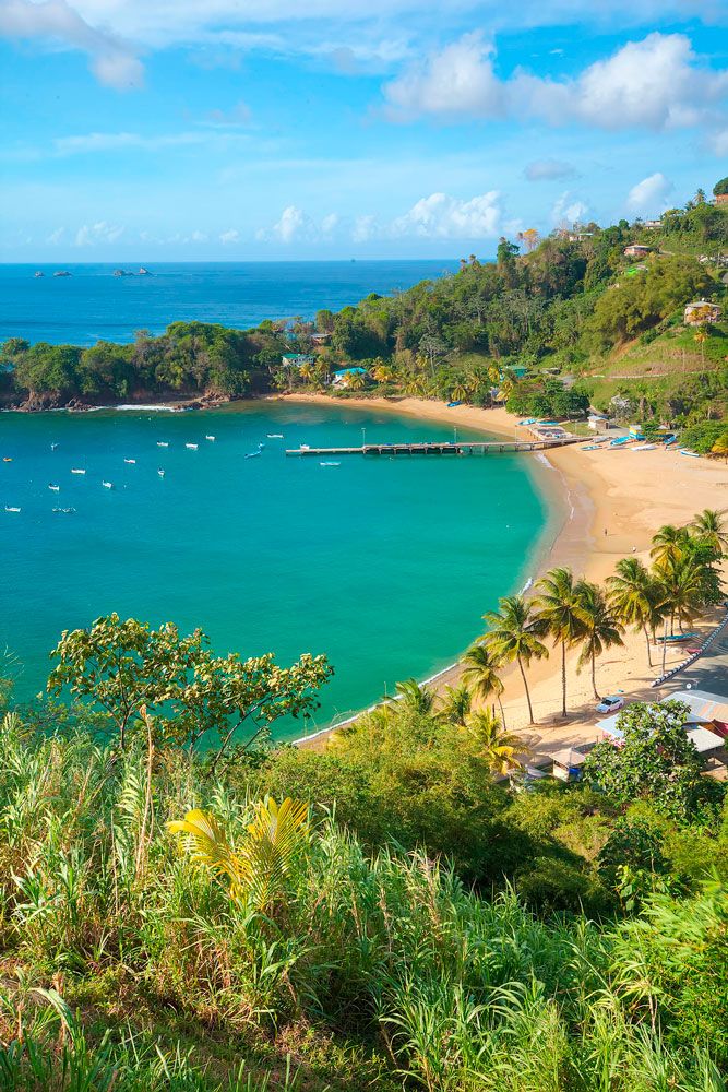 the beach is surrounded by palm trees and blue water with boats floating in the ocean