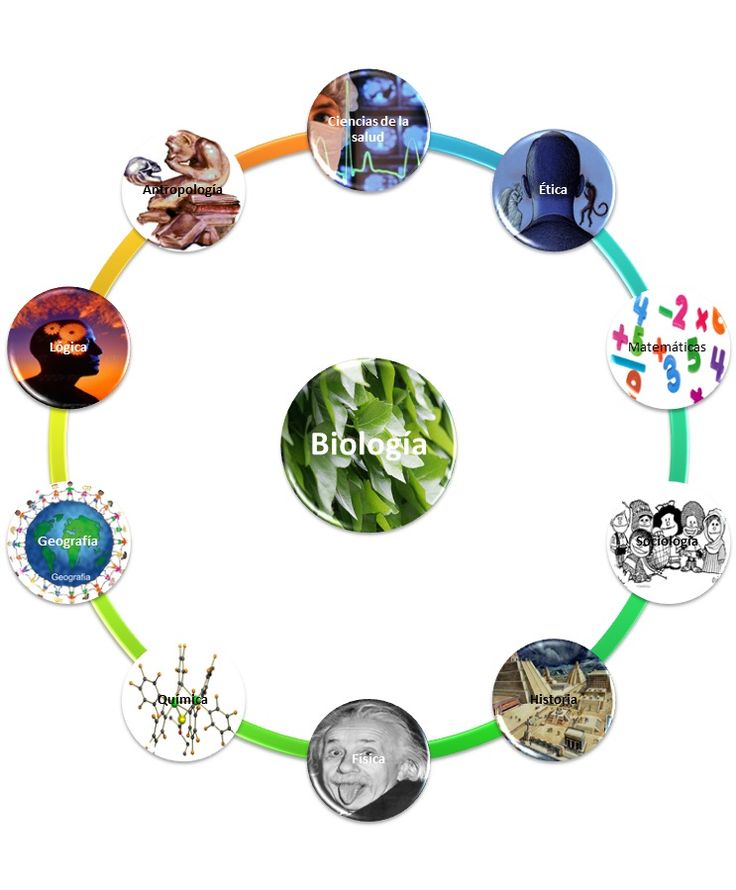 a circle with many different pictures and words on it's center, including the name biosea