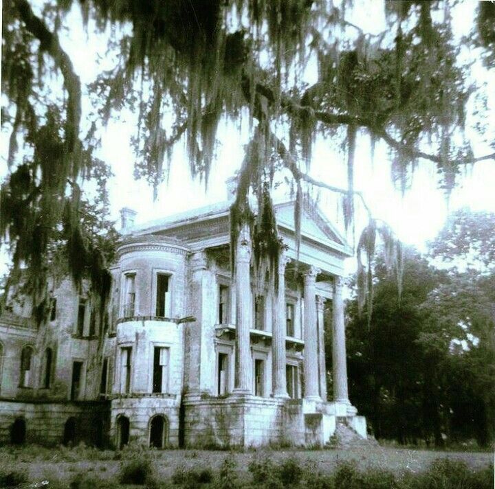 an old building with trees hanging over it