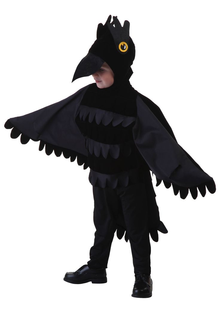 a little boy in a black bird costume