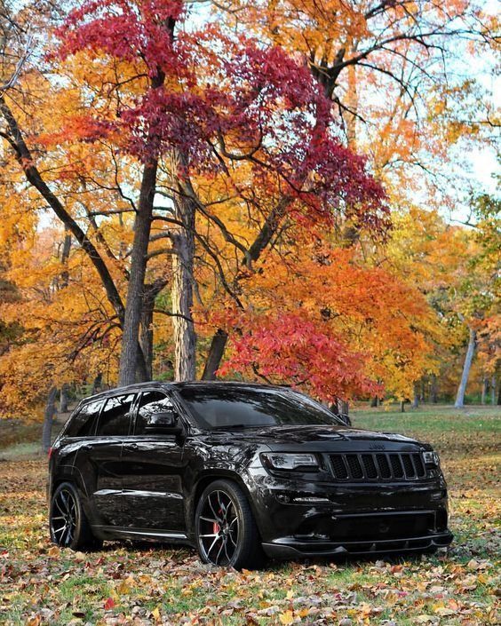 a black jeep parked in front of trees with autumn leaves on the ground around it