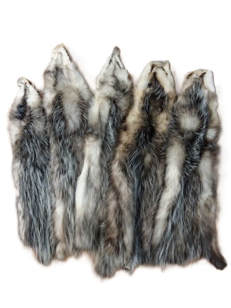 three wolf furs are shown together on a white background