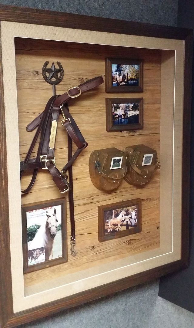 a wooden frame with horse related items in it