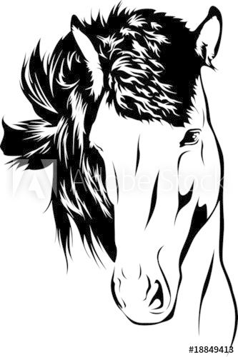 a horse's head in black and white with long manes, on a white background