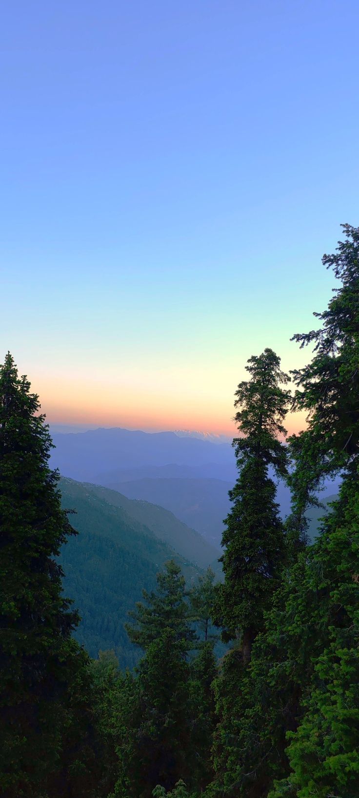 the sun is setting over some trees in the mountains