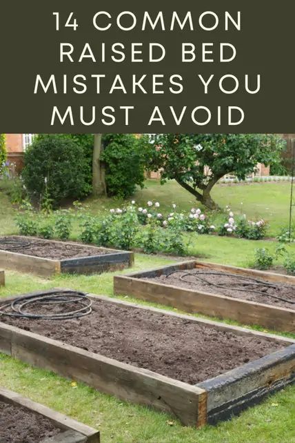 Raised Vegetable Gardens, Vegetable Garden Planning, Diy Raised Garden, Backyard Vegetable Gardens, Raised Garden Beds Diy, Garden Wallpaper, Veg Garden, Home Vegetable Garden, Vegetable Garden Design