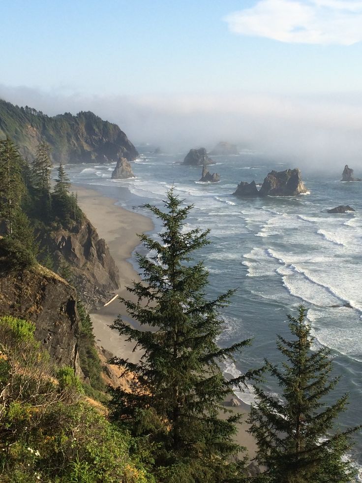 the coast line is covered in fog and low lying trees, along with tall rock formations