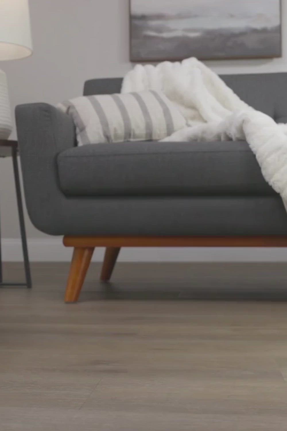 This may contain: a brown dog laying on top of a gray rug in a living room next to a couch