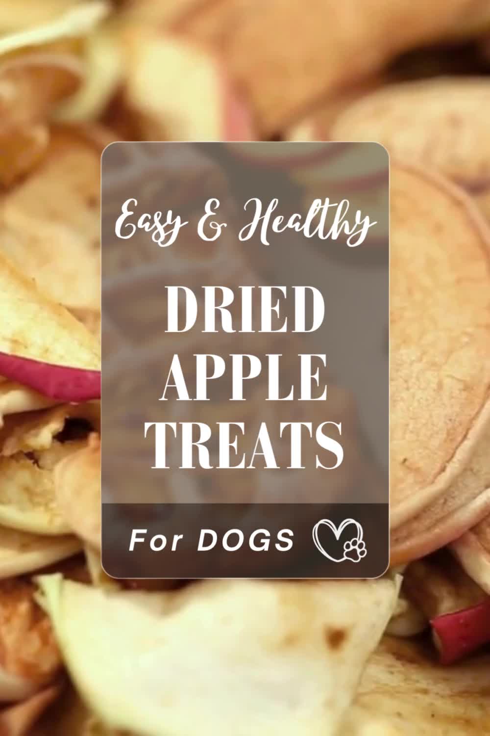 This may contain: an image of dried apple treats with text overlay that reads easy and healthy dried apple treats for dogs