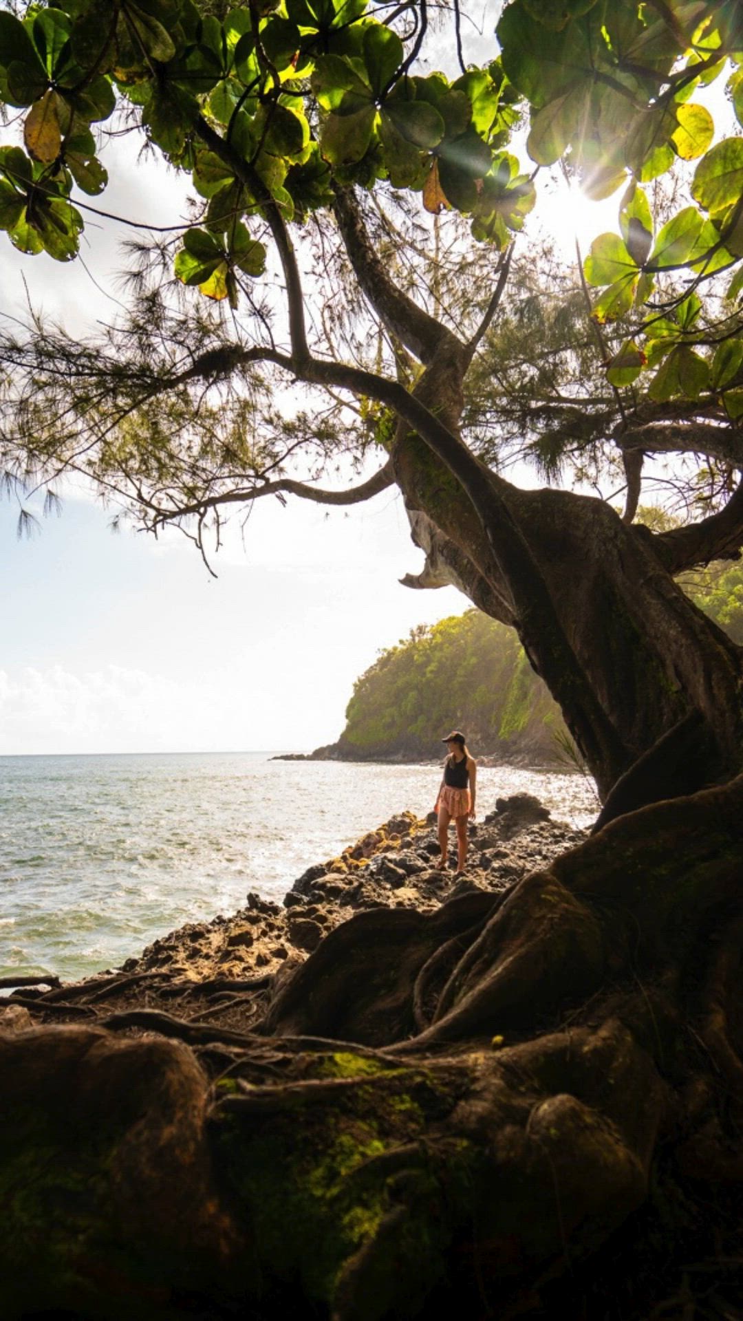 This may contain: a person standing under a tree near the ocean with text overlay that reads 25 cozy places to visit in the usa in march