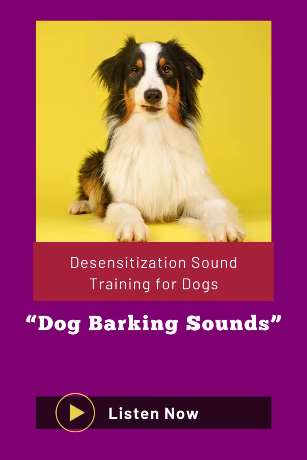 This may contain: a dog sitting in front of a yellow background with the words dog barking sounds written below it