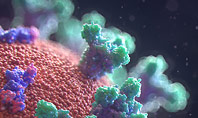 3D Visualization of Covid-19 Virus Presentation Presentation Template