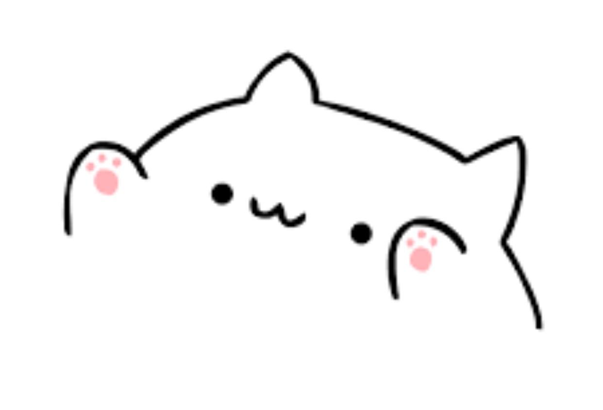 Bongo Cat Wallpapers Top Free Bongo Cat Backgrounds W - vrogue.co