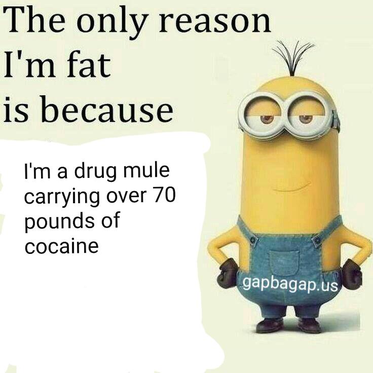 Minion Memes Clean