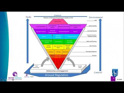 Sensory Processing and ASD