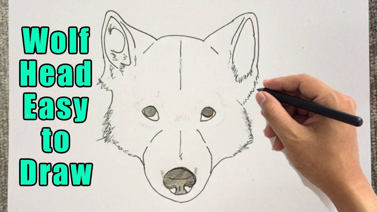 How To Draw A Wolf Head Step By Step For Kids