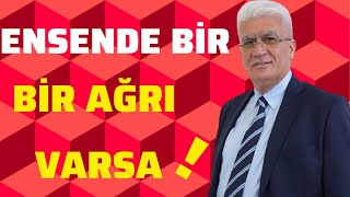 Ensede Bir Ağrı Varsa !  Prof  Dr  Orhan Şen