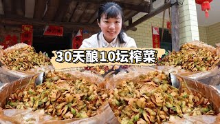 用30天做了10壇榨菜涪陵本地人愛吃的榨菜2年後才能吃到的美味 燕麥行遊