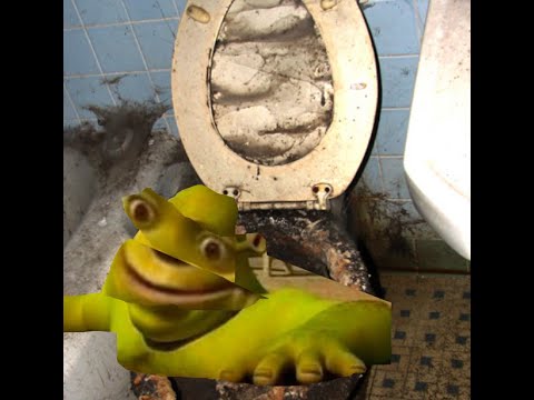 Shrek Toilet Meme