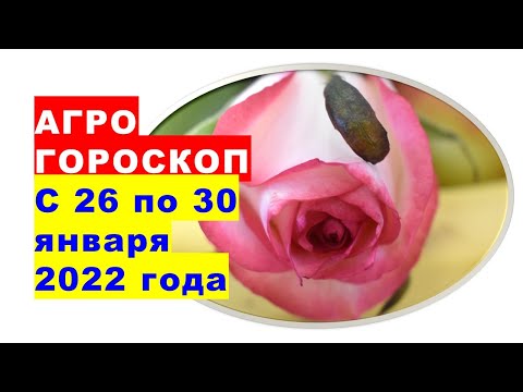 Агрогороскоп с 26 по 30 января 2022 года