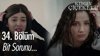 Songül Ve Defne Neden Kaşınıyor? - Kırgın Çiçekler 34 Bölüm