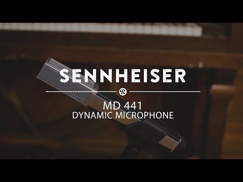 Sennheiser MD 441 Dynamic Microphone | Reverb Demo Video