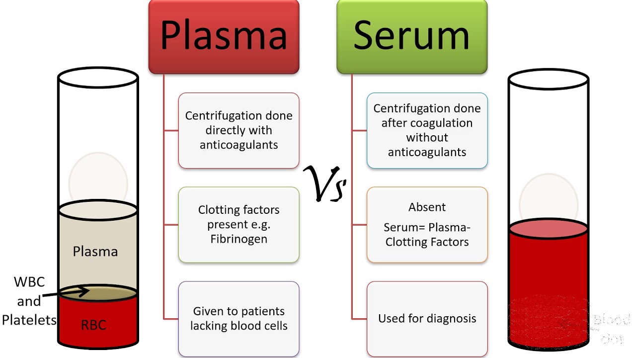 Plasma and Serum 