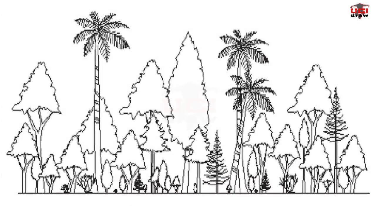 Update 80+ forest sketch - in.eteachers