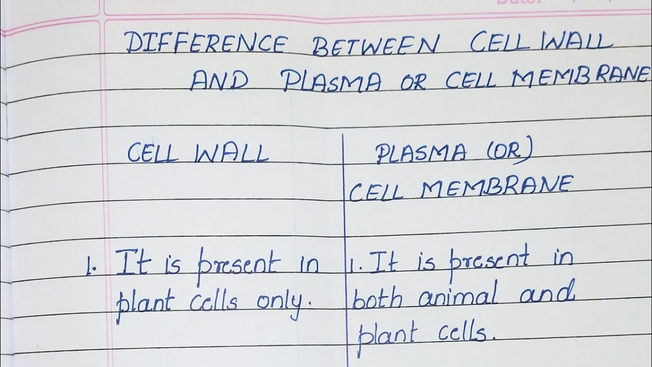 Cell Wall And Cell Membrane Difference